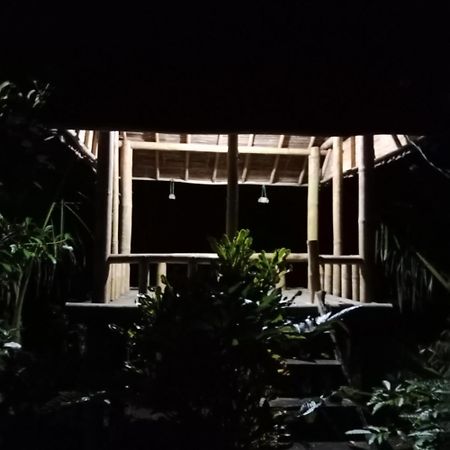 Bali Mountain Forest Cabin Penebel 외부 사진