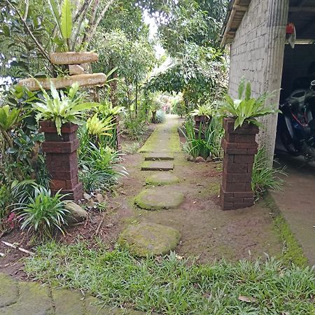 Bali Mountain Forest Cabin Penebel 외부 사진
