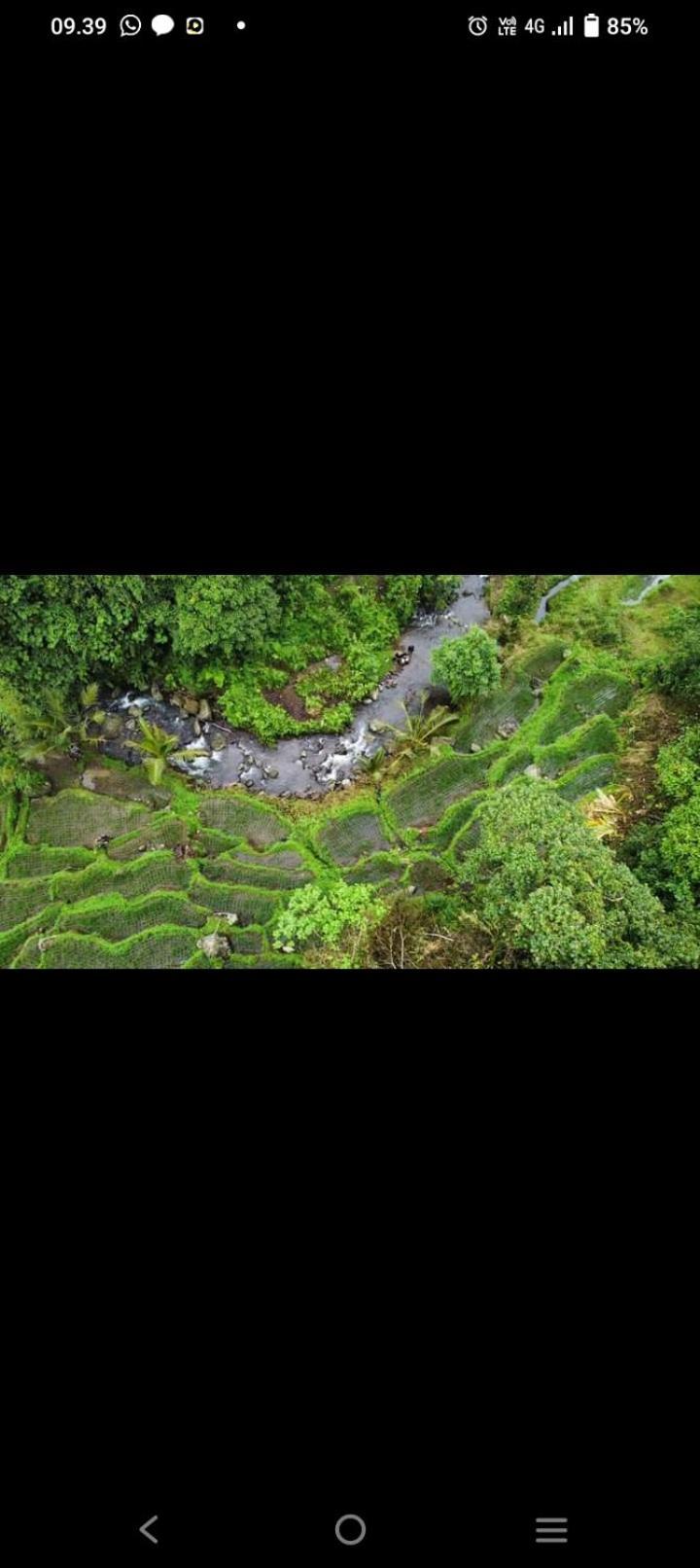 Bali Mountain Forest Cabin Penebel 외부 사진
