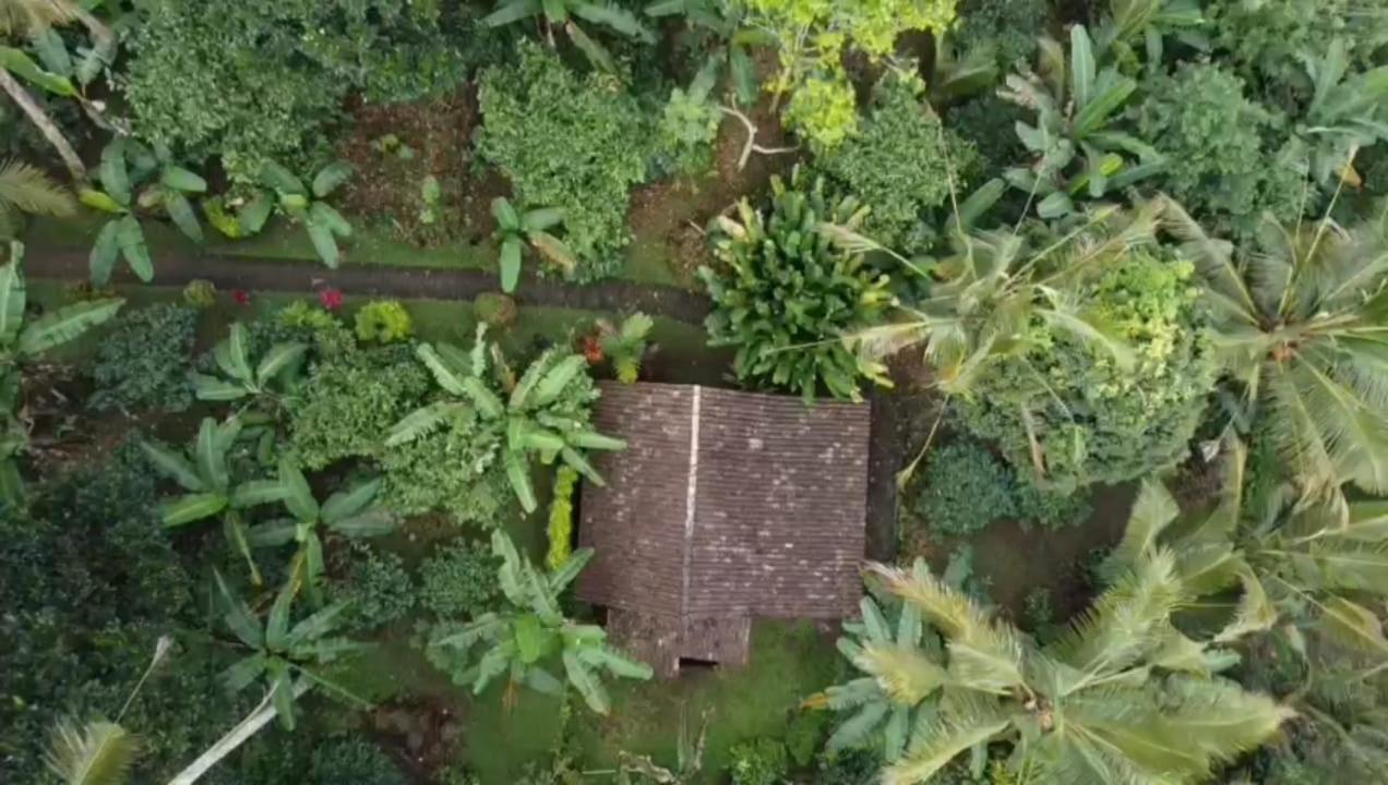 Bali Mountain Forest Cabin Penebel 객실 사진