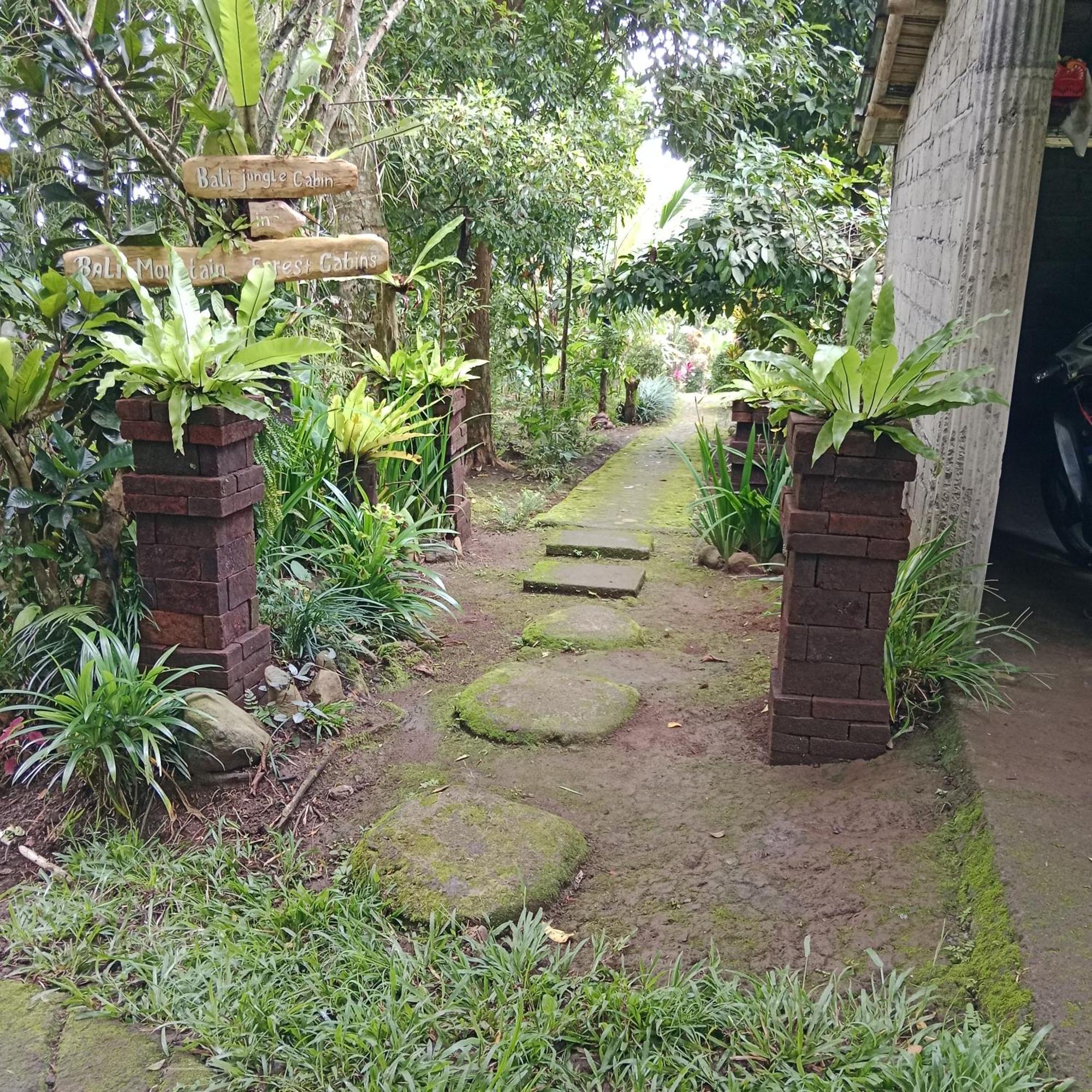 Bali Mountain Forest Cabin Penebel 객실 사진
