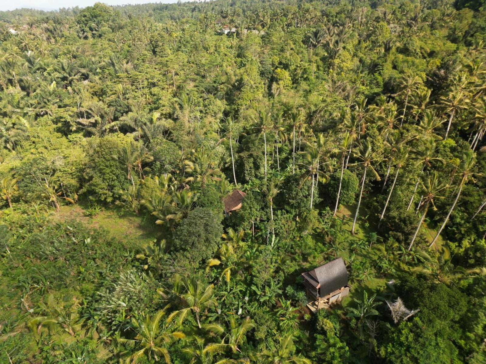 Bali Mountain Forest Cabin Penebel 객실 사진