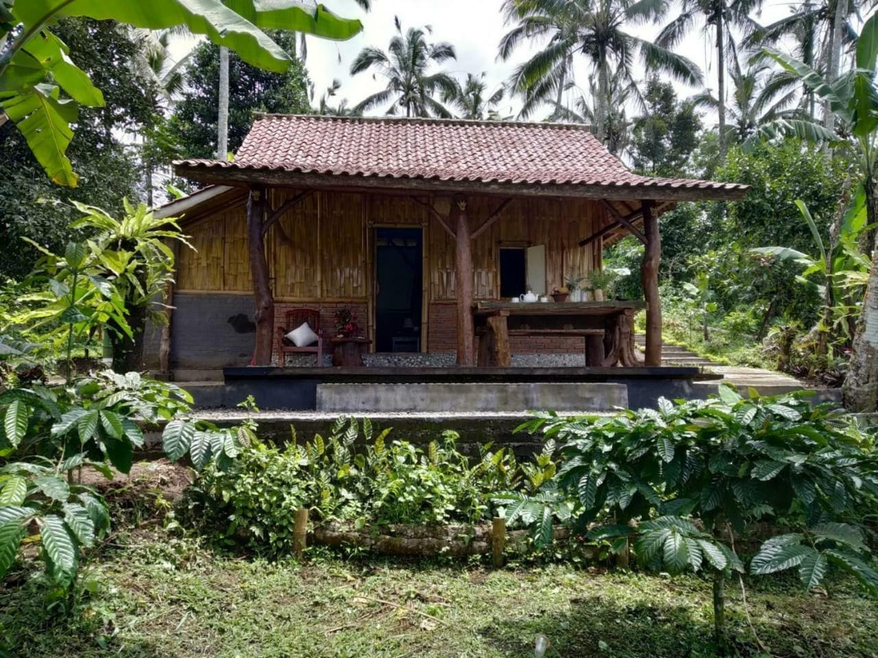 Bali Mountain Forest Cabin Penebel 외부 사진