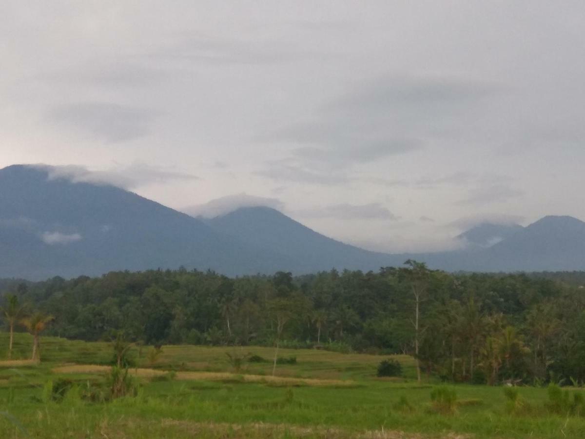 Bali Mountain Forest Cabin Penebel 외부 사진