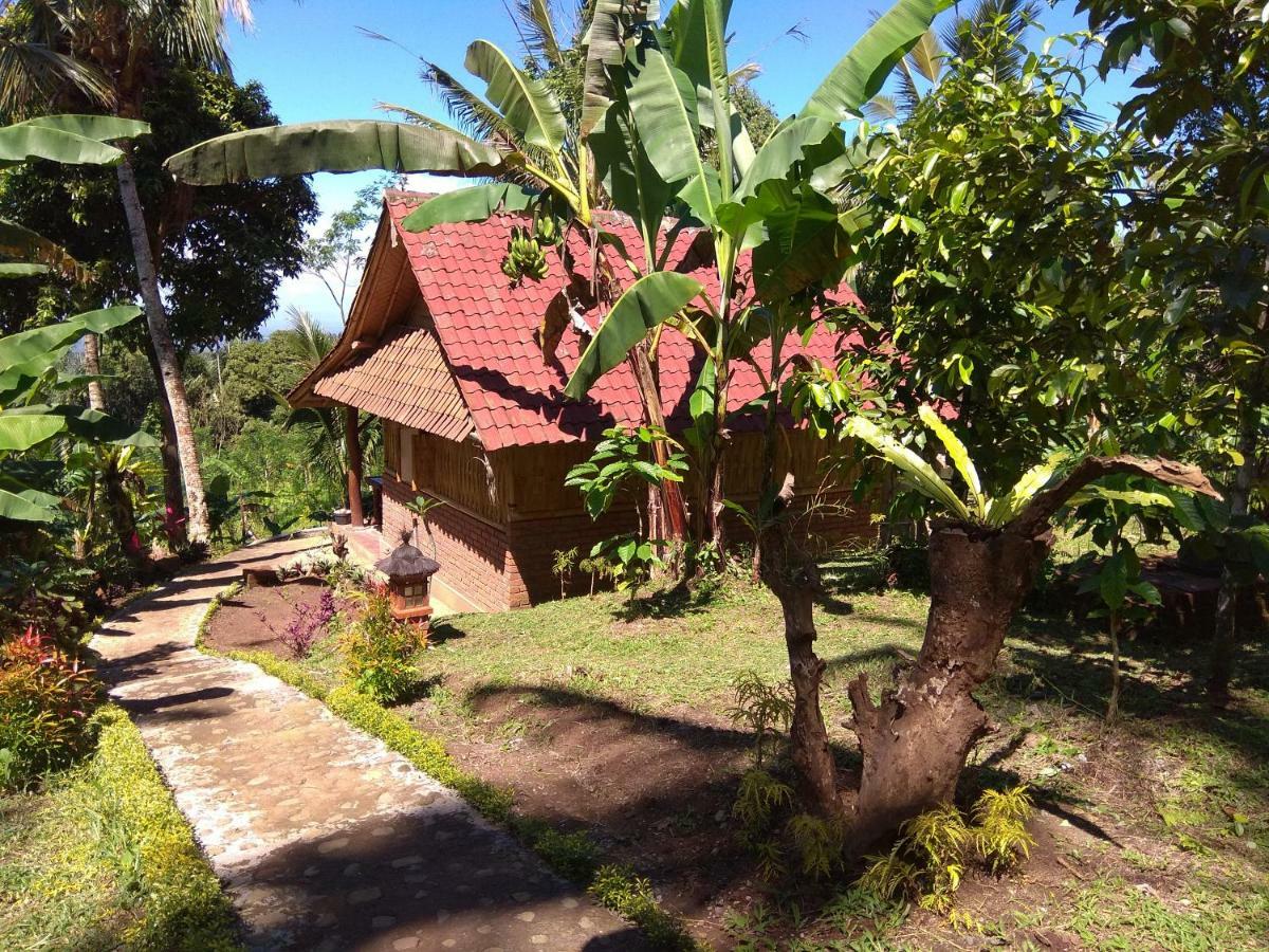 Bali Mountain Forest Cabin Penebel 외부 사진